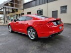 Thumbnail Photo 71 for 2021 Ford Mustang GT Premium